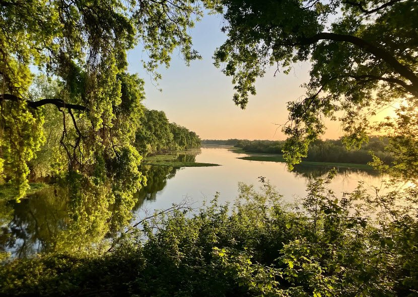 Delta Meadows State Park, California, USA